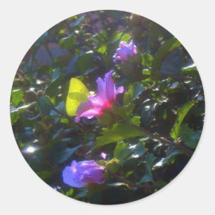 Sticker Rond Papillon jaune sur Rose rose de Sharon
