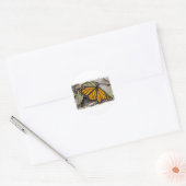 Sticker Rond Papillon monarque (Enveloppe)