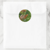 Sticker Rond Papillon monarque (Sac)