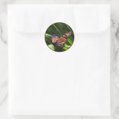 Sticker Rond Papillon monarque (Sac)