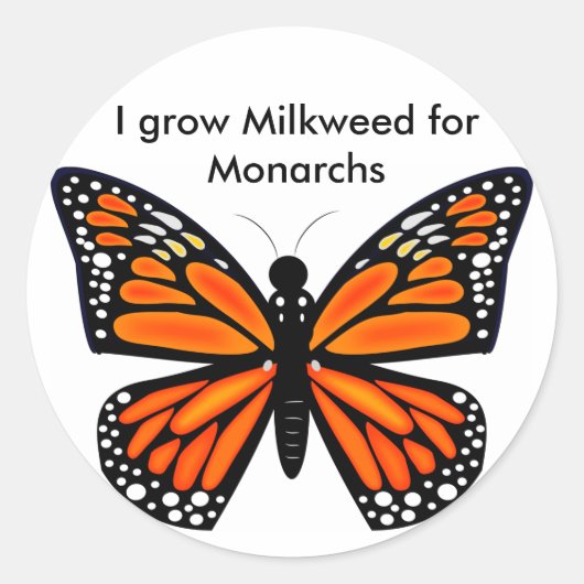Sticker Rond Papillon monarque (Devant)