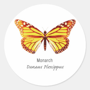 Sticker Rond Papillon Monarque avec nom