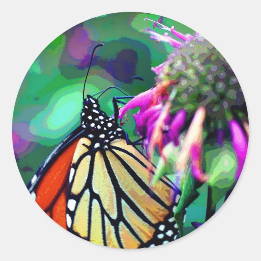 Sticker Rond Papillon Monarque Sur L'Art Fleur (Devant)