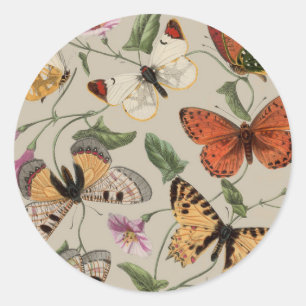 Sticker Rond Papillon Moth Nature Collection Dessin