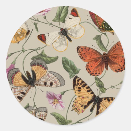 Sticker Rond Papillon Moth Nature Collection Dessin (Devant)