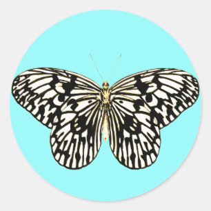 Sticker Rond Papillon noir et blanc, arrière - plan turquoise