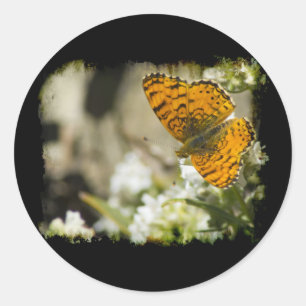 Sticker Rond Papillon orange