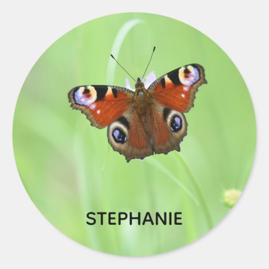 Sticker Rond Papillon paon (Devant)