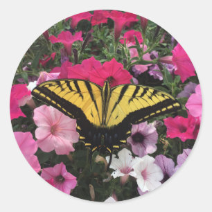 Sticker Rond Papillon sur fleurs de pétunia roses Printemps