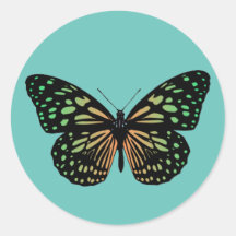 Papillon tacheté orange et vert