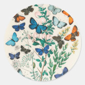 Sticker Rond Papillons, illustration vintage, (Devant)