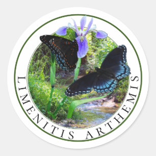 Sticker Rond Papillons pourpres tachetés rouge et Iris drapeau