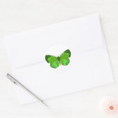 Sticker Rond Papillons verts (Enveloppe)