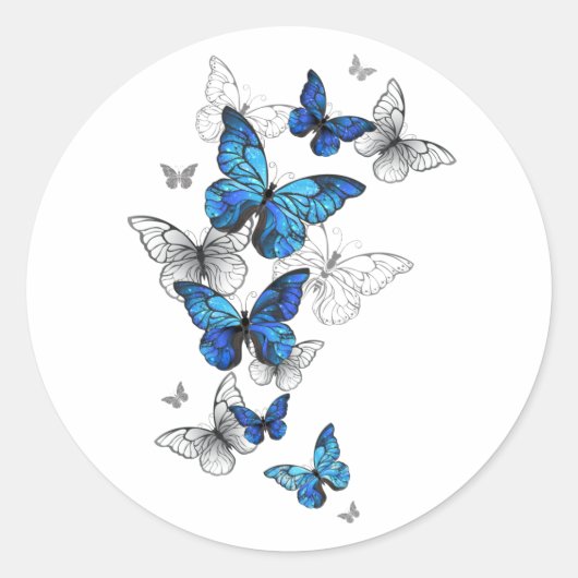 Sticker Rond Papillons volants bleus Morpho (Devant)
