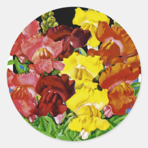 Sticker Rond Paquet de semences Vintage Snapdragon