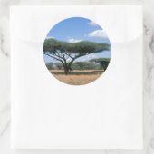 Sticker Rond Parapluie Thorn Acacia (Acacia tortilis), Mkuze (Sac)