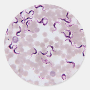 Sticker Rond Parasite Trypanosoma de sang