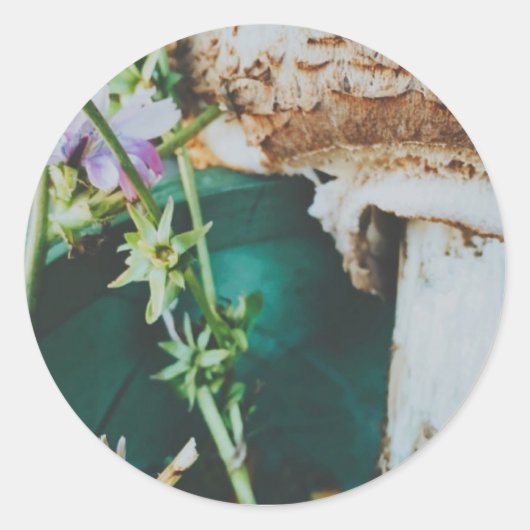 Sticker Rond Parasol mushroom, Swedish Archipelago, Sweden (Devant)