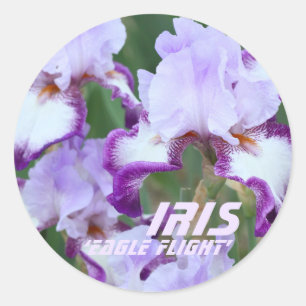 Sticker Rond Parc d'attractions Iris‘Eagle Flight" [Round Seal]