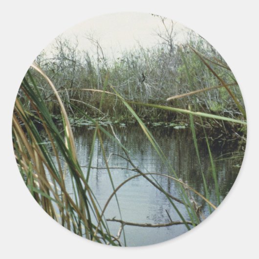 Sticker Rond Parc national des Everglades (Devant)