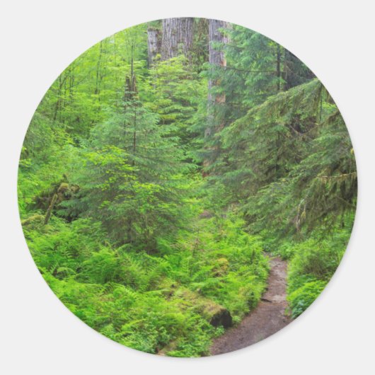 Sticker Rond Parc national Olympique, sentier forestier (Devant)