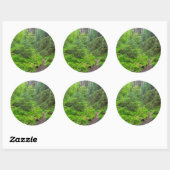 Sticker Rond Parc national Olympique, sentier forestier (Feuille)
