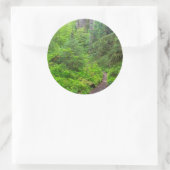 Sticker Rond Parc national Olympique, sentier forestier (Sac)