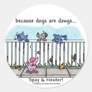 Sticker Rond Parce que les chiens sont des Dawgs