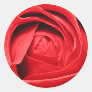 Sticker Rond Parfum d'un Rose