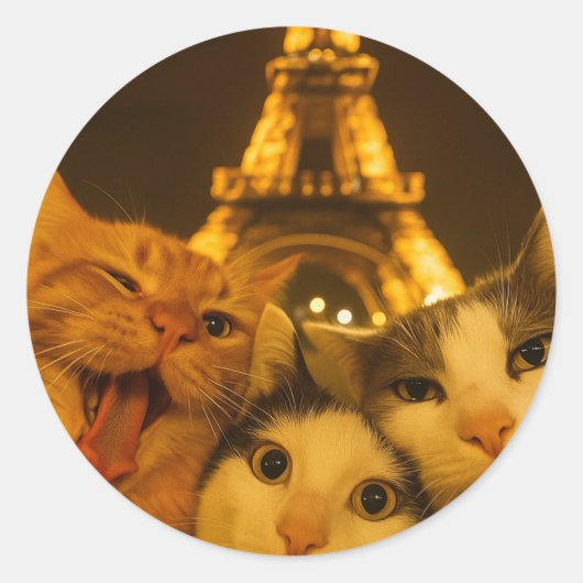 Sticker Rond Paris Night Cat Selfie Squad Lover                 (Devant)