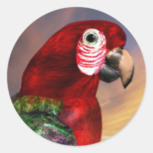 STICKER ROND PARROS HYPER / ARBE ROUGE