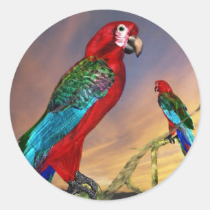 STICKER ROND PARROS HYPER / ARBE ROUGE