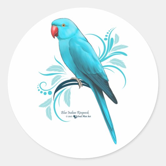Sticker Rond Parrot bleu indien Ringneck (Devant)