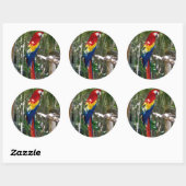 Sticker Rond Parrot Macaw à l'écarlate (Feuille)
