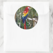 Sticker Rond Parrot Macaw à l'écarlate (Sac)