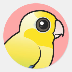 Sticker Rond Parrotlet Pacifique jaune