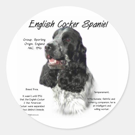 Sticker Rond Parti Anglais Cocker Histoire Espagnole (Devant)