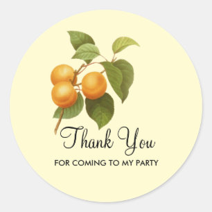 Sticker Rond Partie de dessin de l'aquarelle vintage Orange