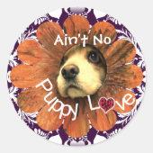 Sticker Rond Pas de chiot aimer chiot jeter un oeil d'une fleur (Devant)