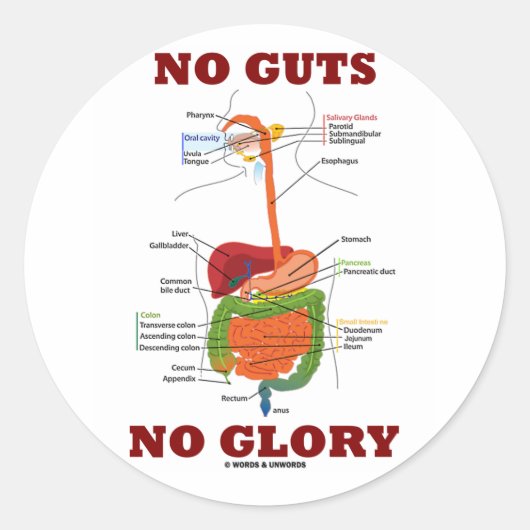 Sticker Rond Pas de clairvoyants Pas de gloire (Humour d'anatom (Devant)