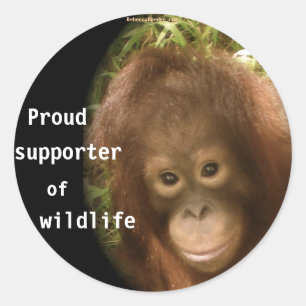 Sticker Rond Pas de commerce de singes