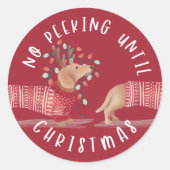 Sticker Rond Pas De Pékin Jusqu'À Noël | Dachshund Chien rouge (Devant)