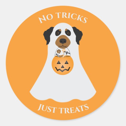 Sticker Rond Pas de traces juste traiter le chien d'Halloween (Devant)