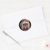 Sticker Rond Pastel Shih Tzu (Enveloppe)
