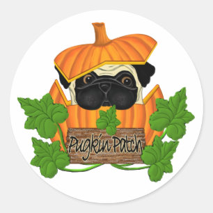 Sticker Rond Patch Citrouille carlin