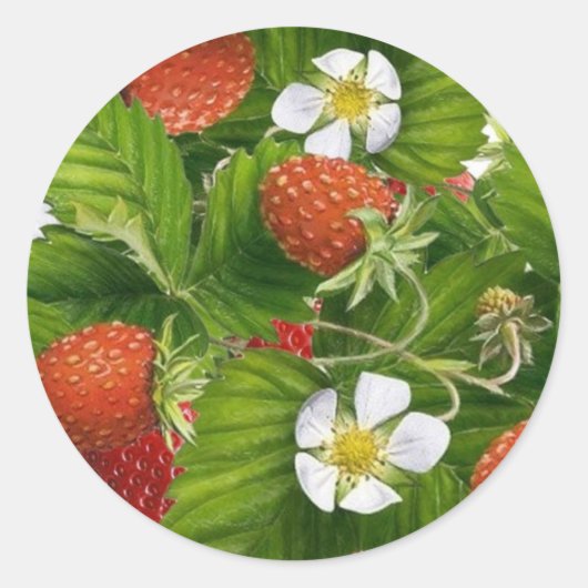Sticker Rond Patch fraise (Devant)