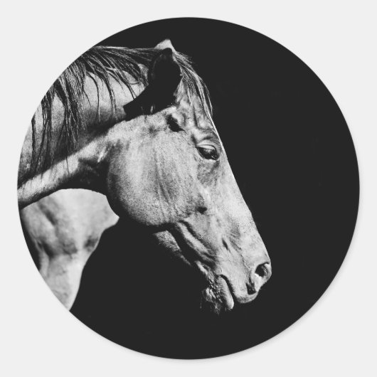 Sticker Rond patte de cheval (Devant)
