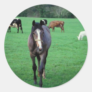 Sticker Rond Pâturage d'animaux de ferme