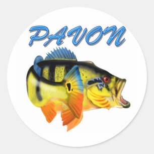 STICKER ROND PAVON2