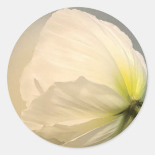 Sticker Rond Pavot blanc